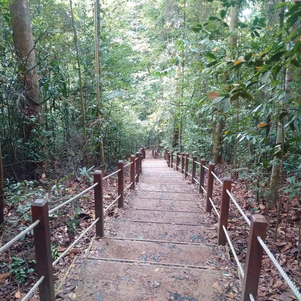 Bukit Timah Black Diamond Trail