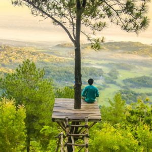 Looking out at peaceful greens