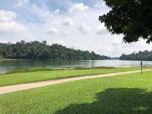 Macritchie Treetop Walk