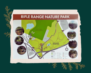 Nature Park Trail event image 4