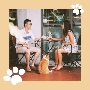Pawrents Dating Dining image 1
