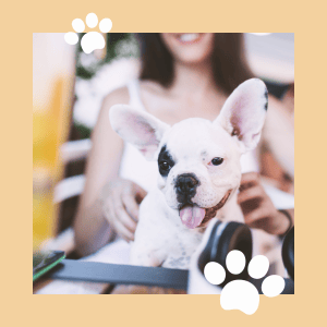 Pawrents Dating Dining image 2