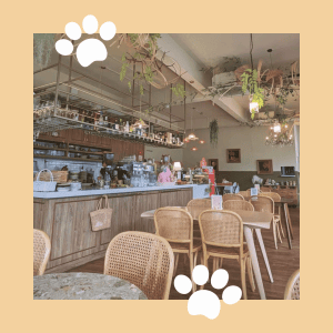 Pawrents Dating Dining image 4