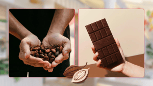 ChocoDate Factory Tour image 1